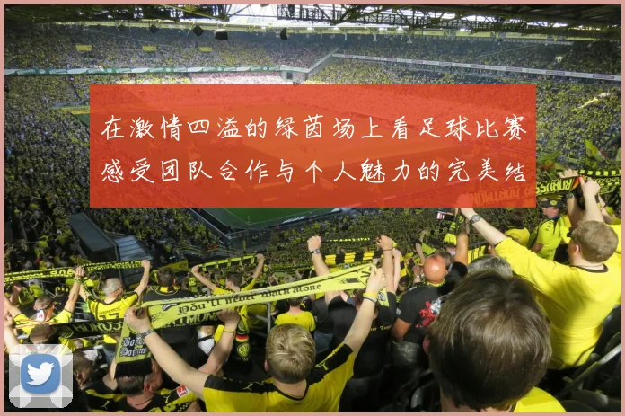 在激情四溢的绿茵场上看足球比赛感受团队合作与个人魅力的完美结合