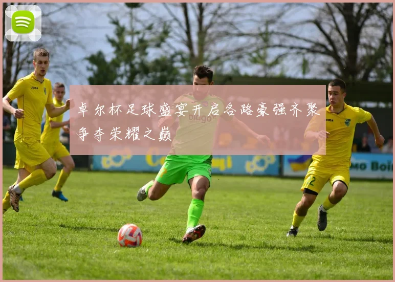 卓尔杯足球盛宴开启各路豪强齐聚争夺荣耀之巅