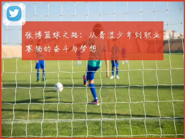 张博篮球之路：从青涩少年到职业赛场的奋斗与梦想