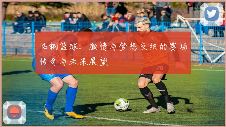 临钢篮球：激情与梦想交织的赛场传奇与未来展望