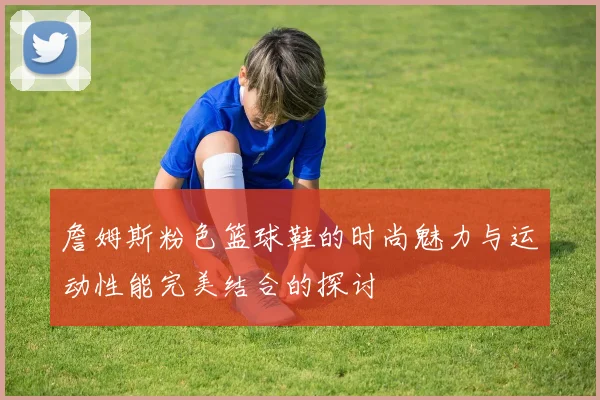 詹姆斯粉色篮球鞋的时尚魅力与运动性能完美结合的探讨