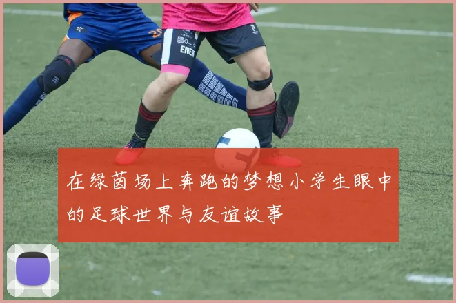 在绿茵场上奔跑的梦想小学生眼中的足球世界与友谊故事