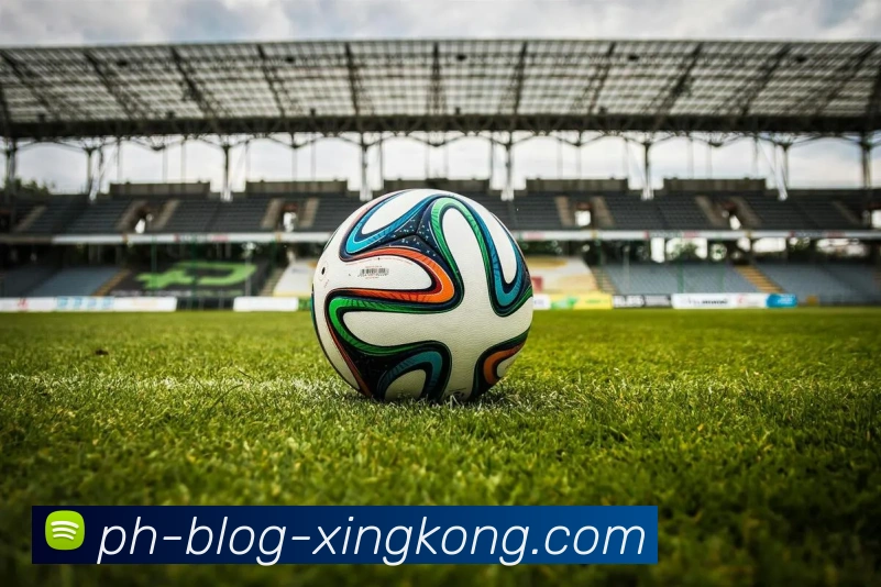 星空官网平台生态图